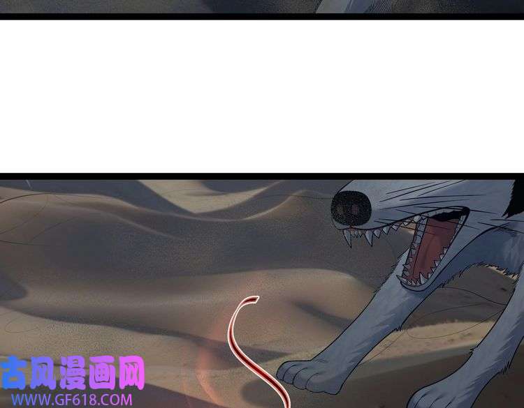 78.jpg