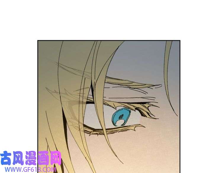 144.jpg