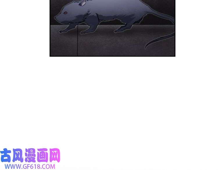 115.jpg