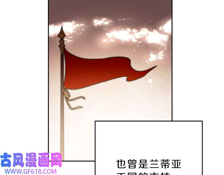 78.jpg