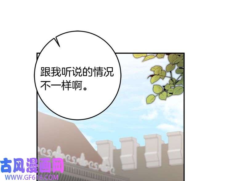 81.jpg