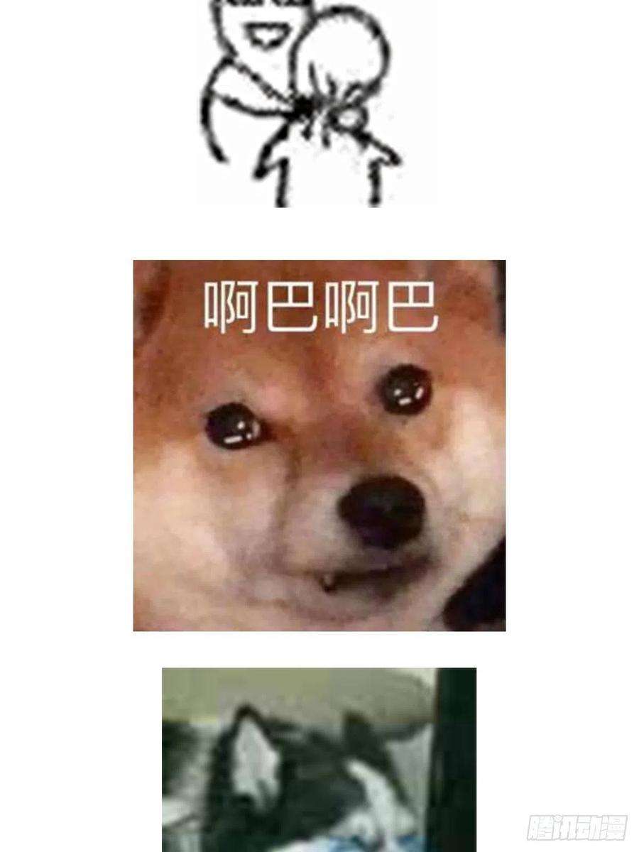 40.jpg
