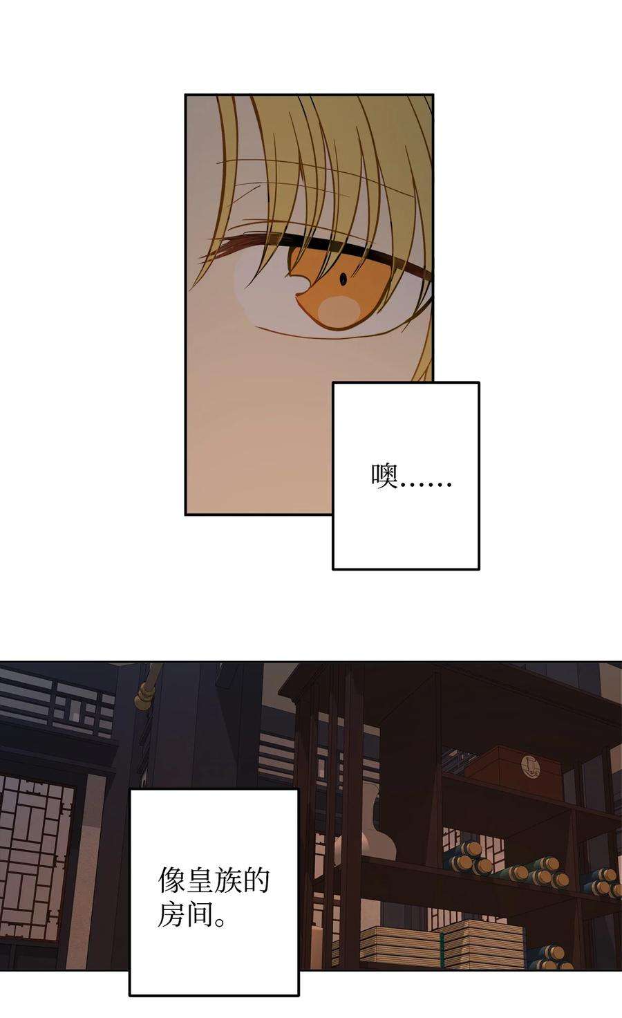 53.jpg