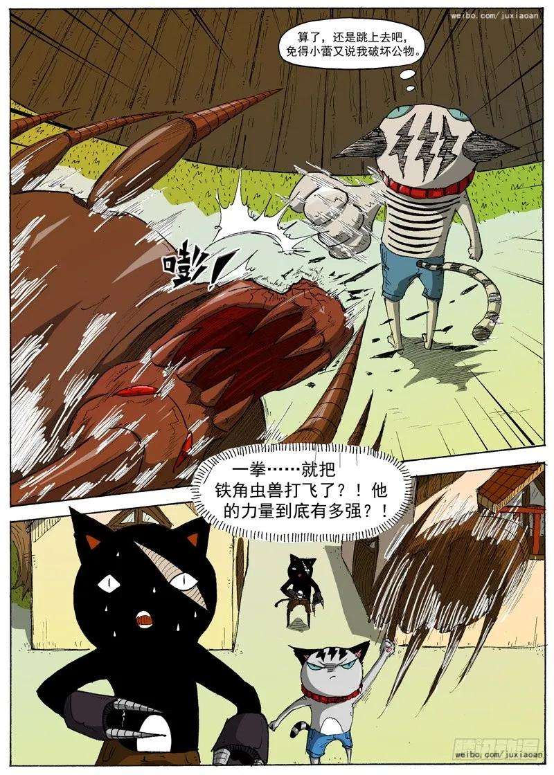 8.jpg
