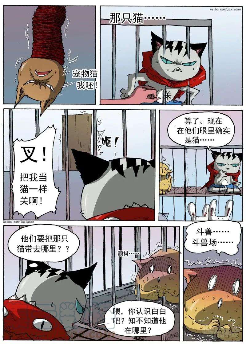 5.jpg