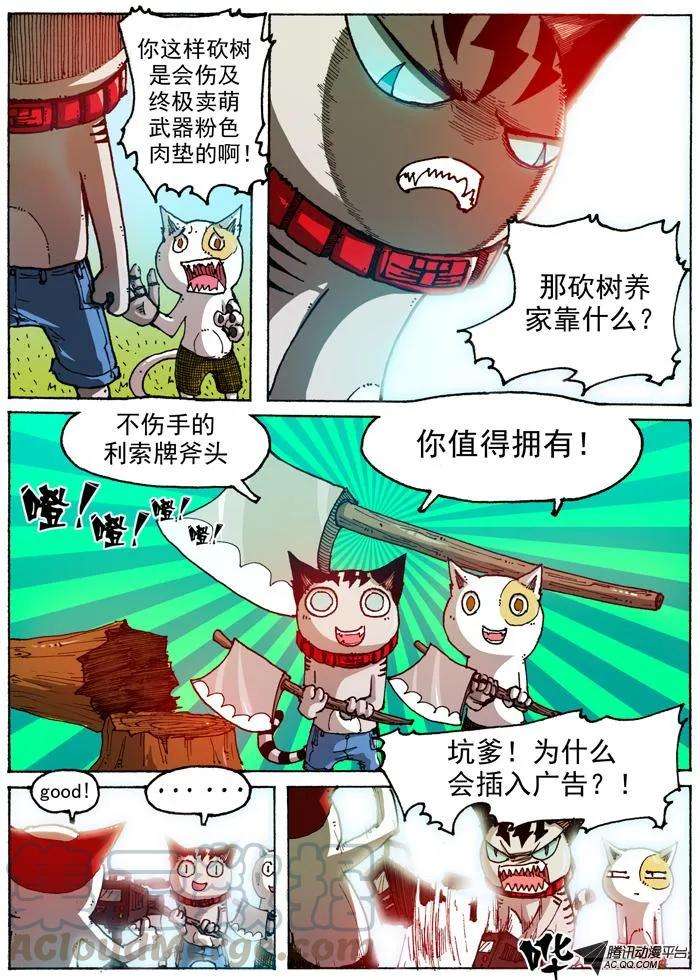 3.jpg