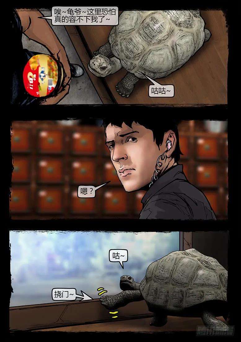 15.jpg