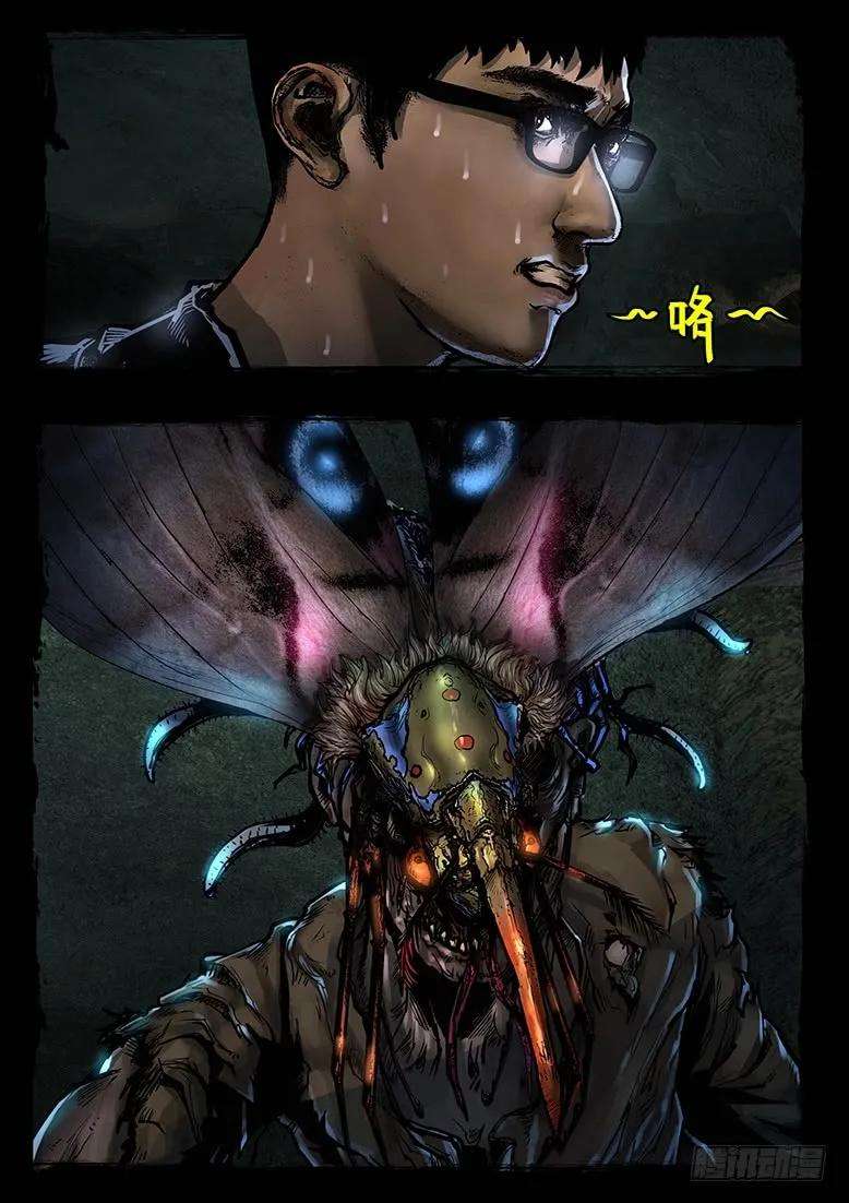 20.jpg
