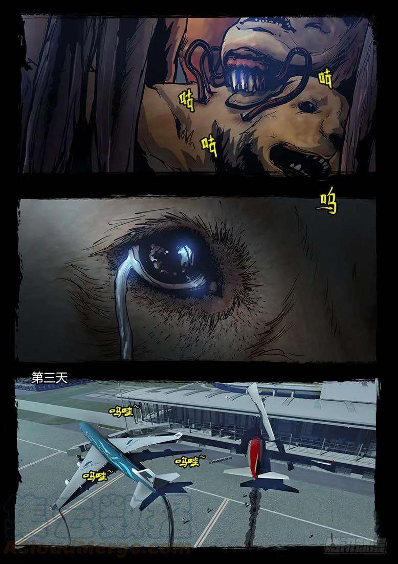 13.jpg