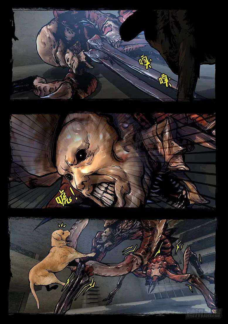 12.jpg