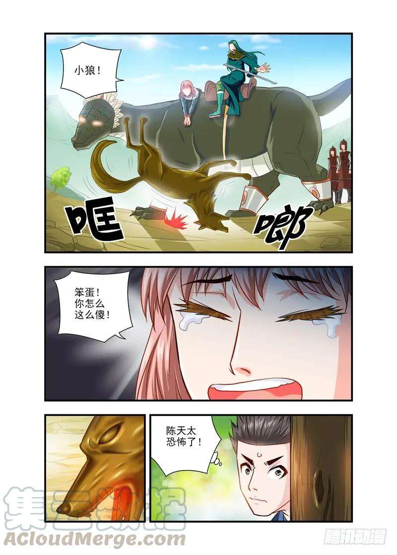 5.jpg