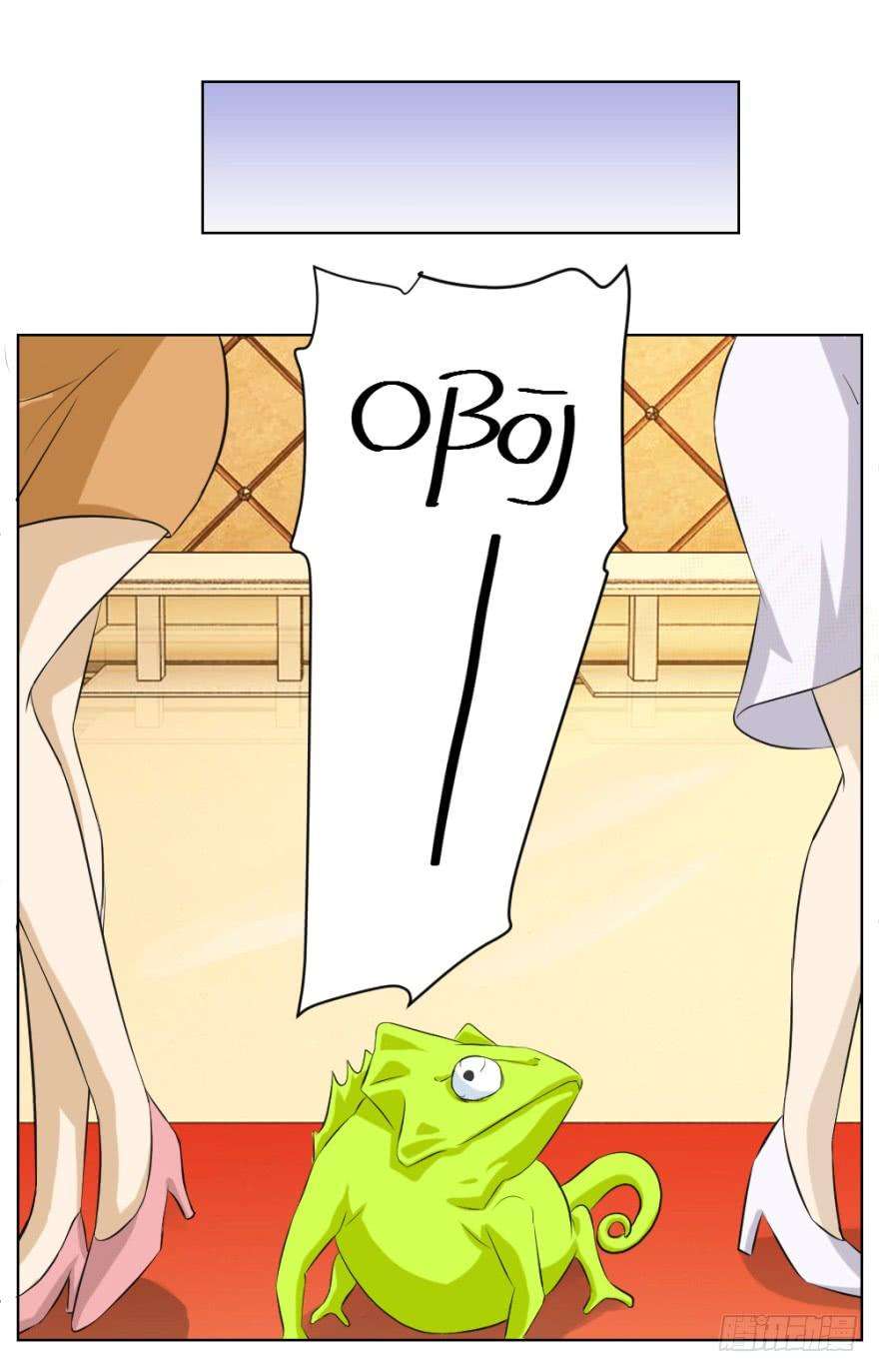 40.jpg