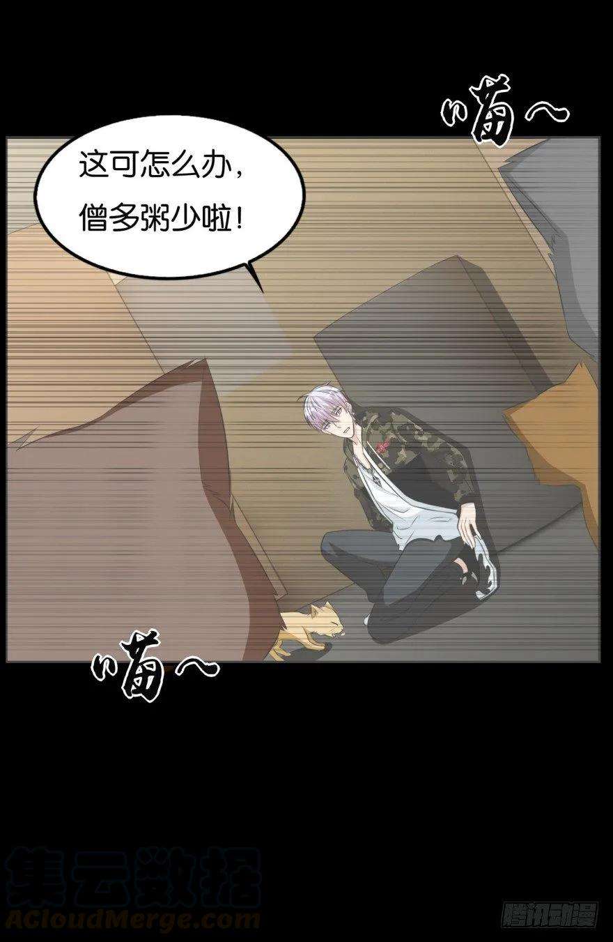 21.jpg
