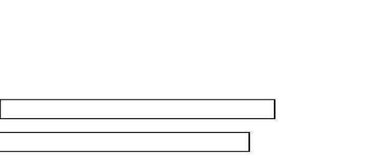 93.jpg