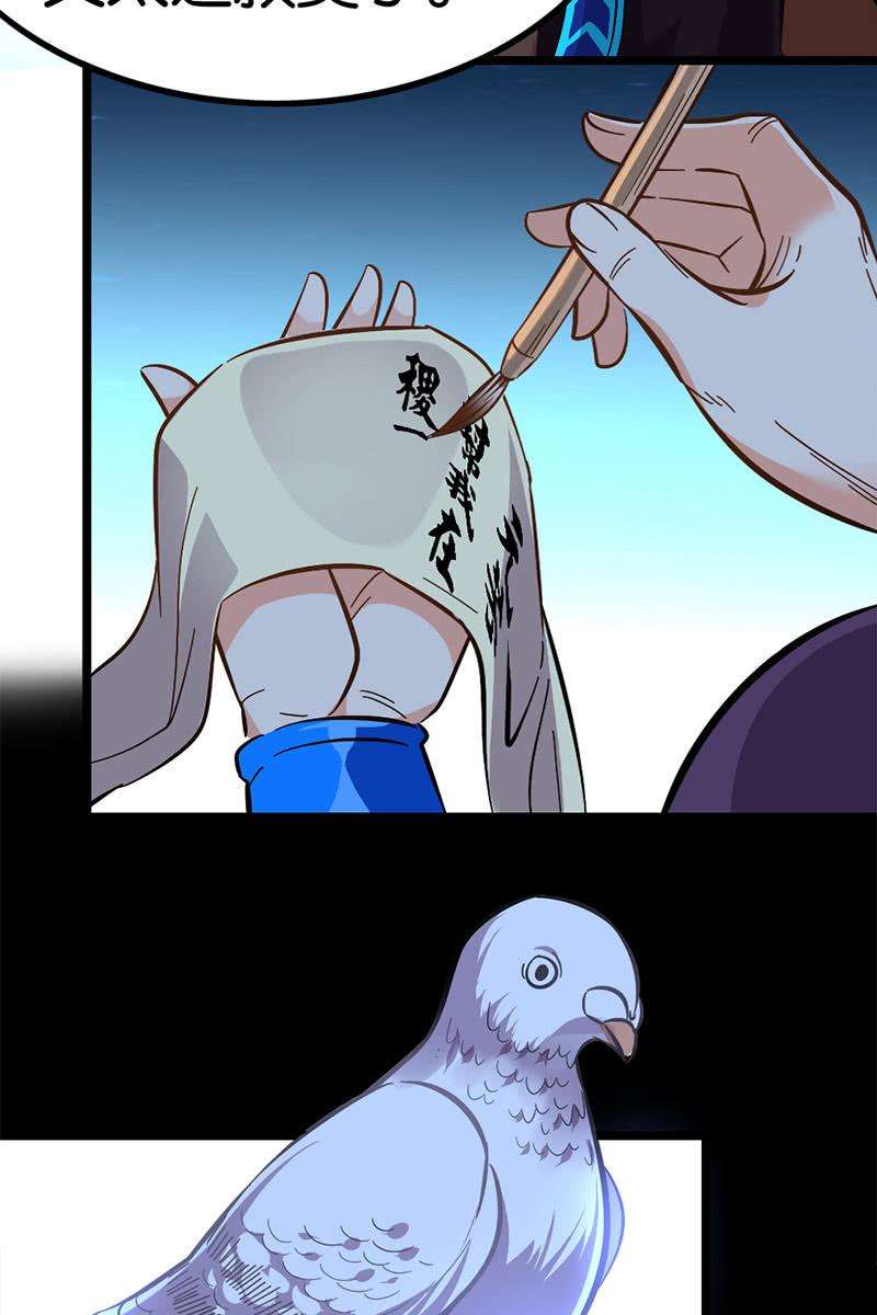47.jpg