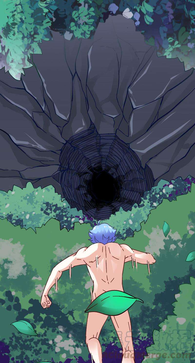 31.jpg