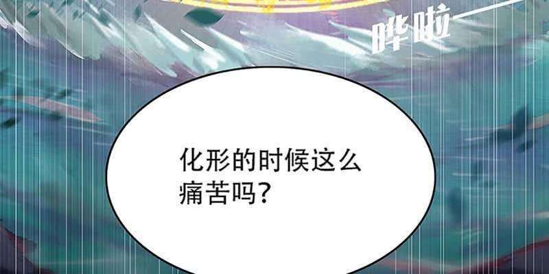 172.jpg