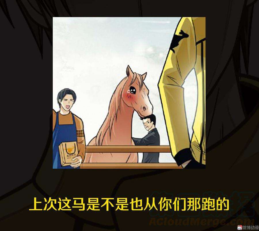 51.jpg