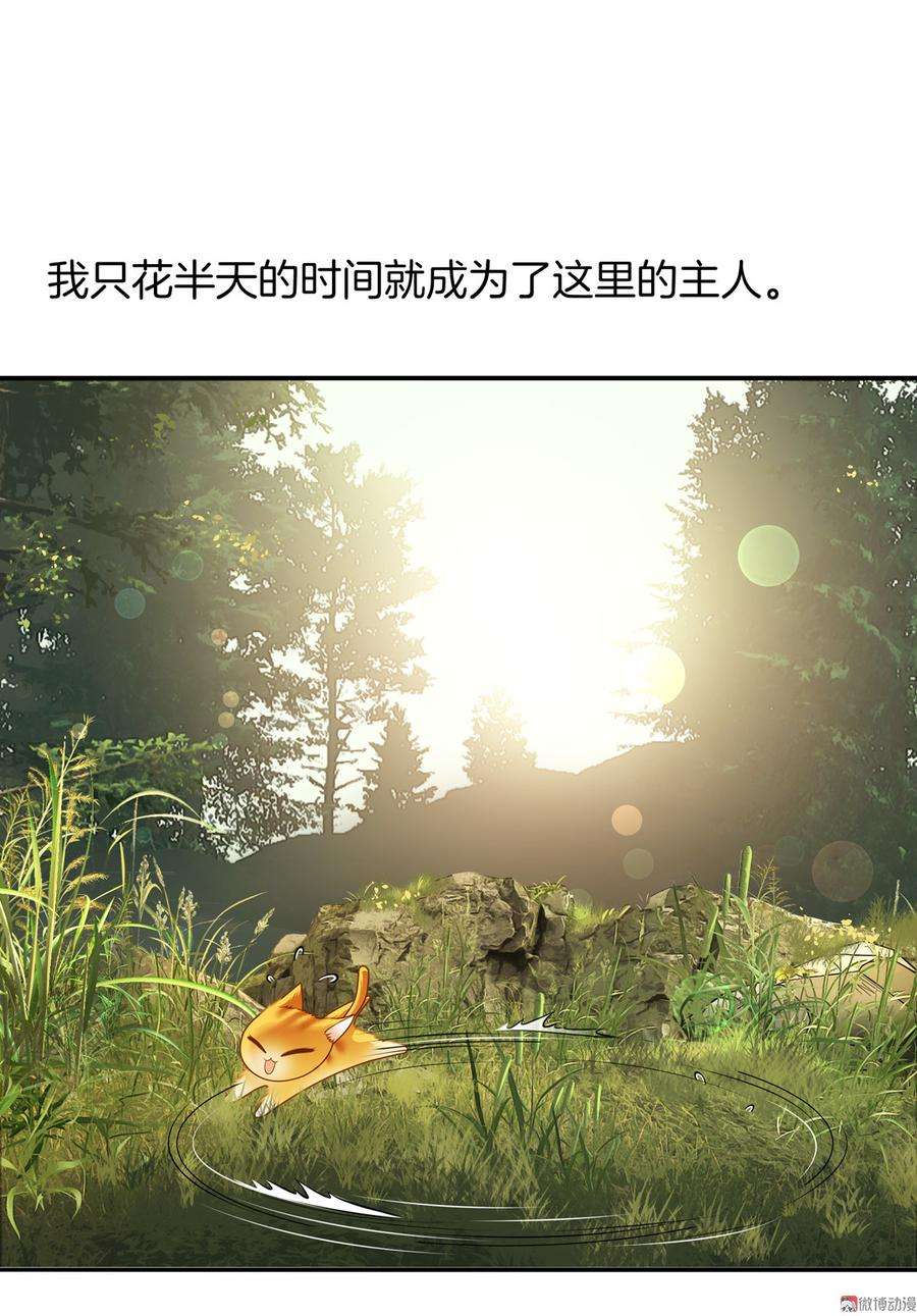 25.jpg