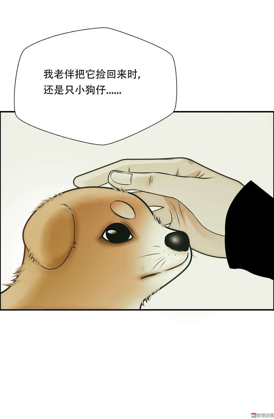 28.jpg