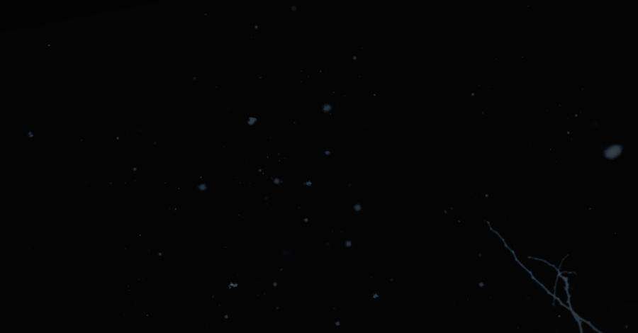 89.jpg