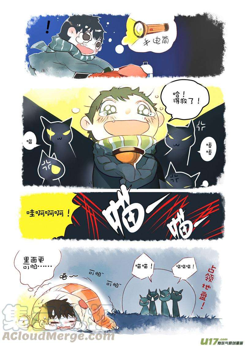 5.jpg