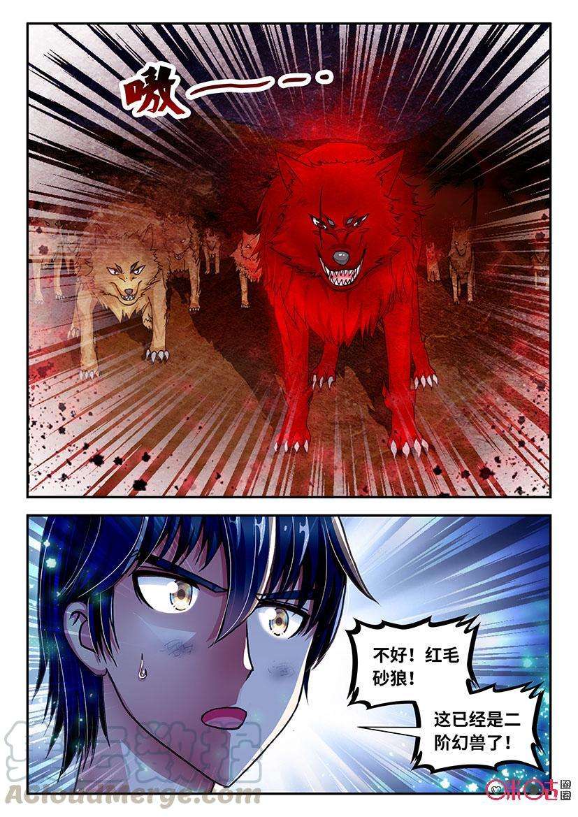 16.jpg