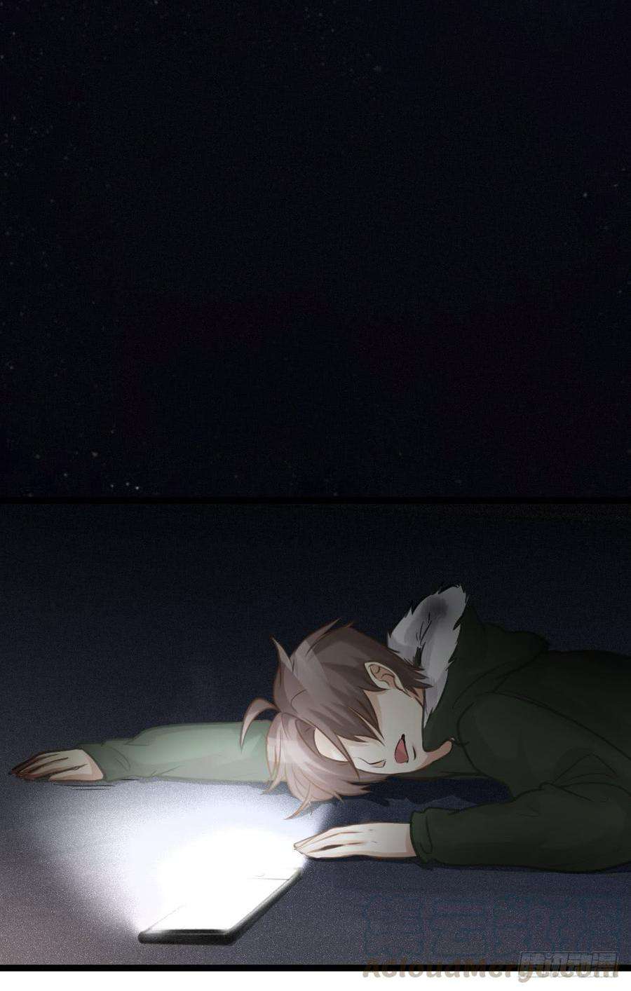 41.jpg