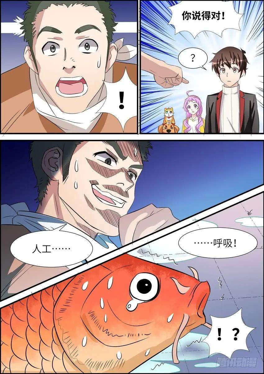 8.jpg