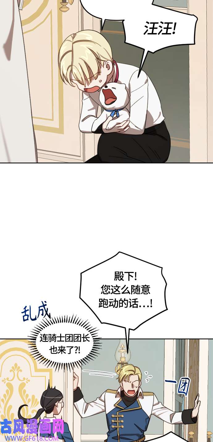 48.jpg