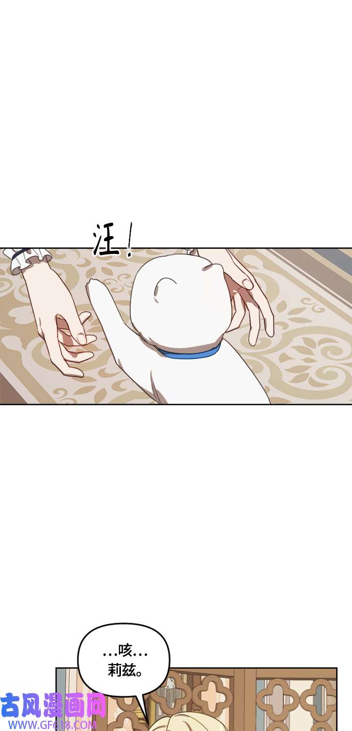 50.jpg