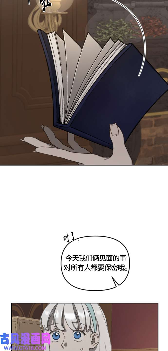48.jpg