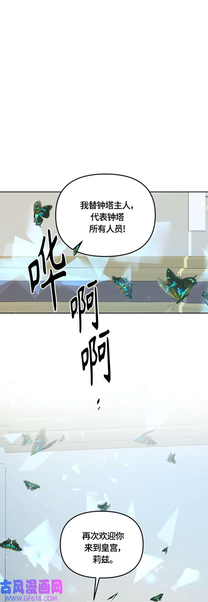 47.jpg