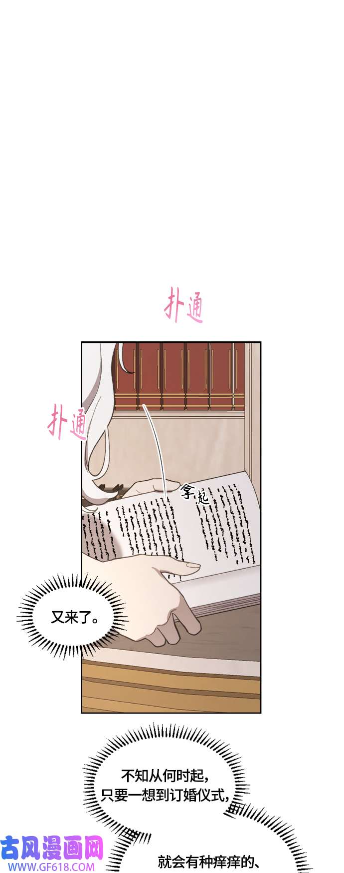 17.jpg