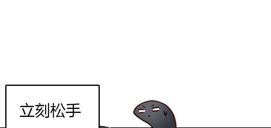 61.jpg
