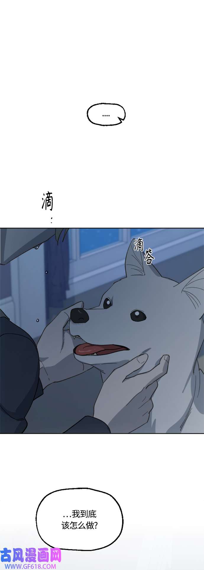 44.jpg