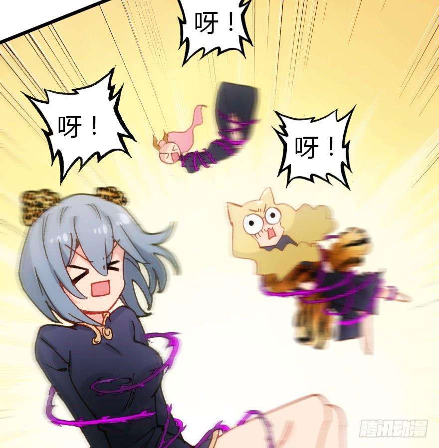 17.jpg