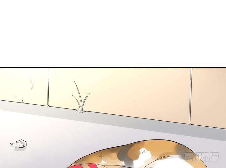 53.jpg