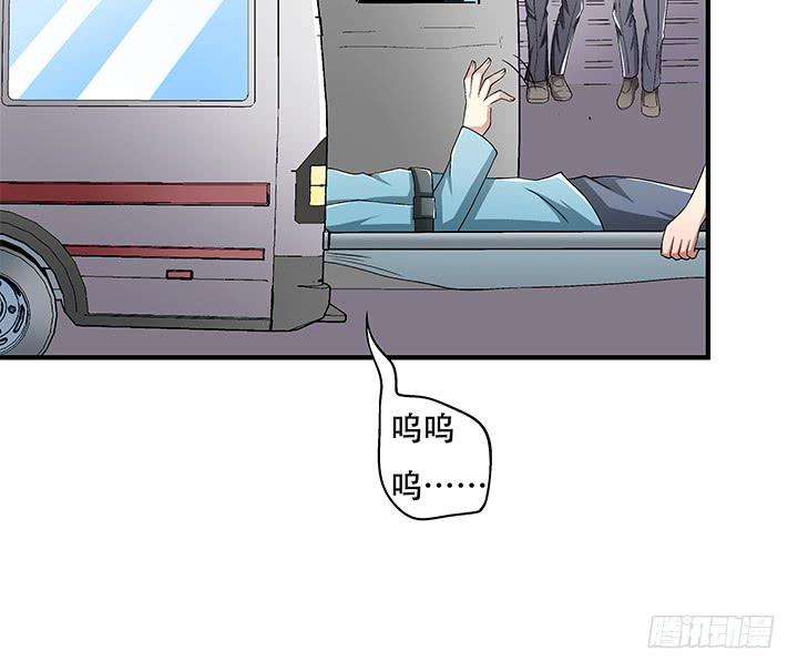 31.jpg