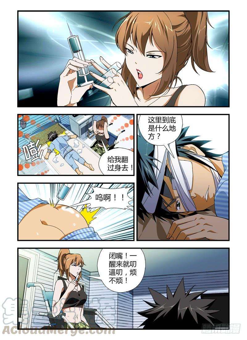 5.jpg