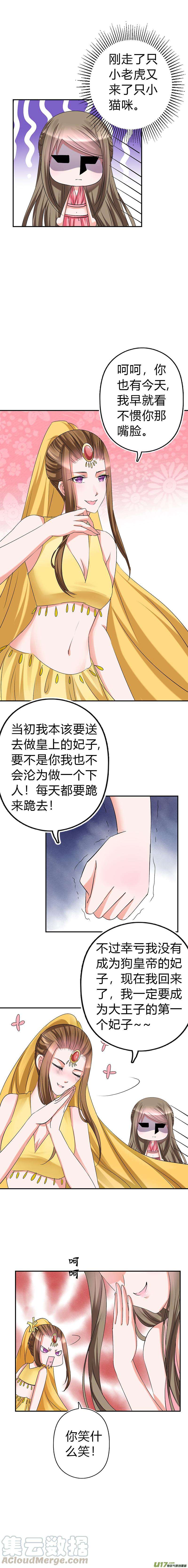 5.jpg