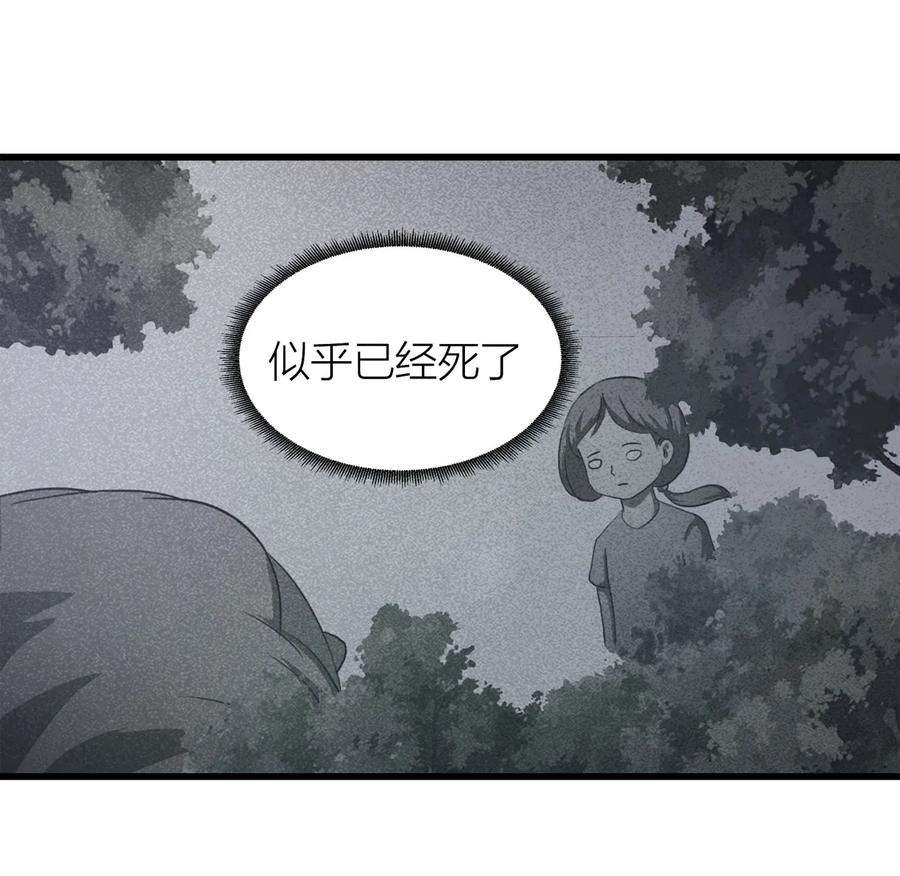 39.jpg