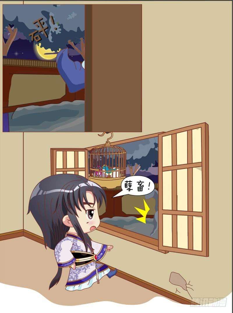 12.jpg