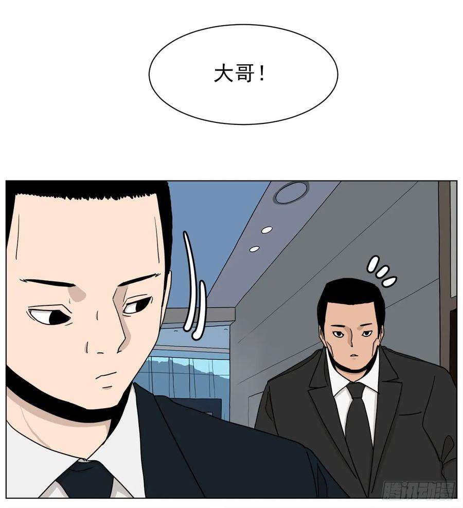 48.jpg