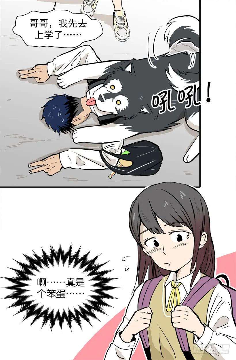15.jpg