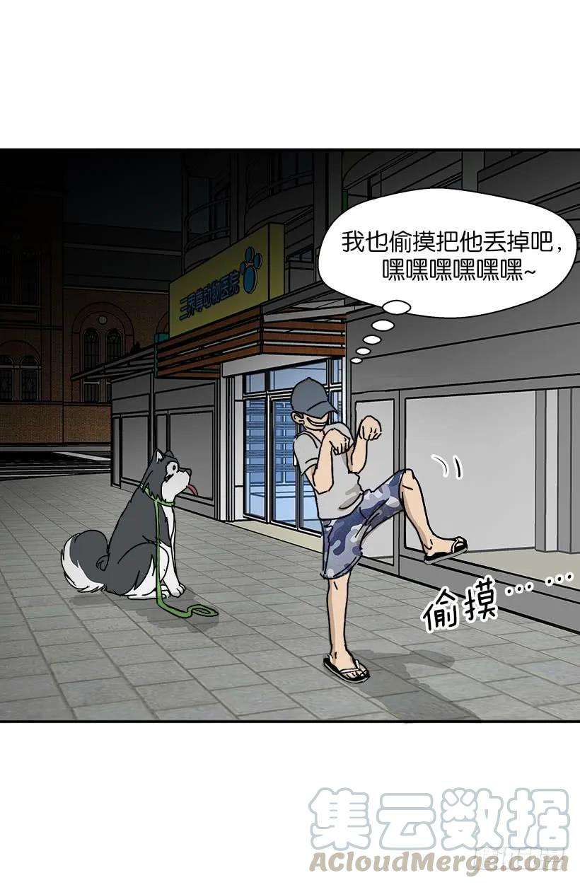 13.jpg