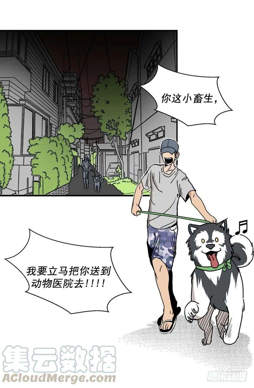 10.jpg