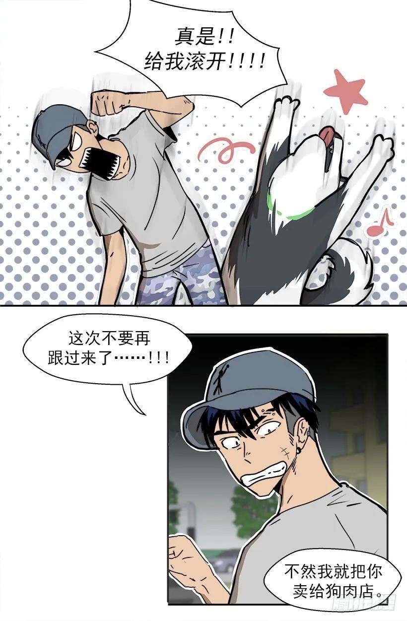 18.jpg