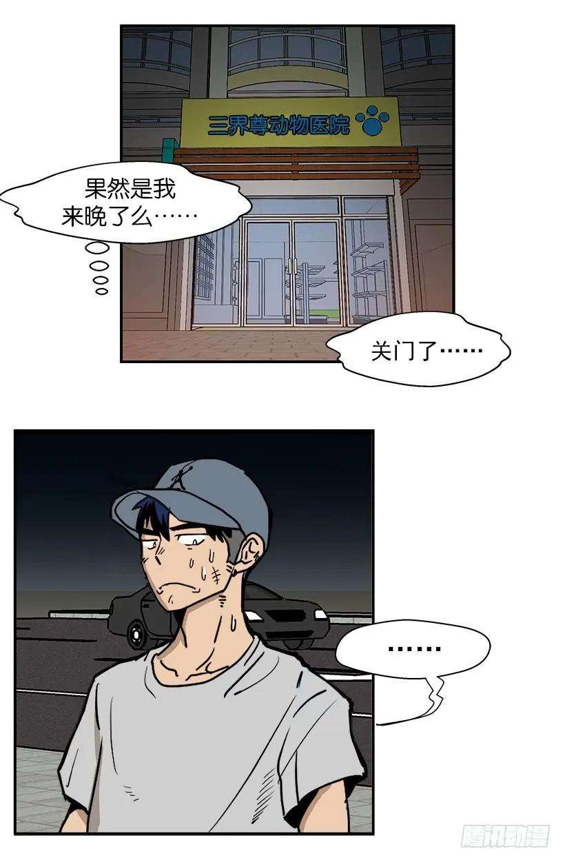 11.jpg