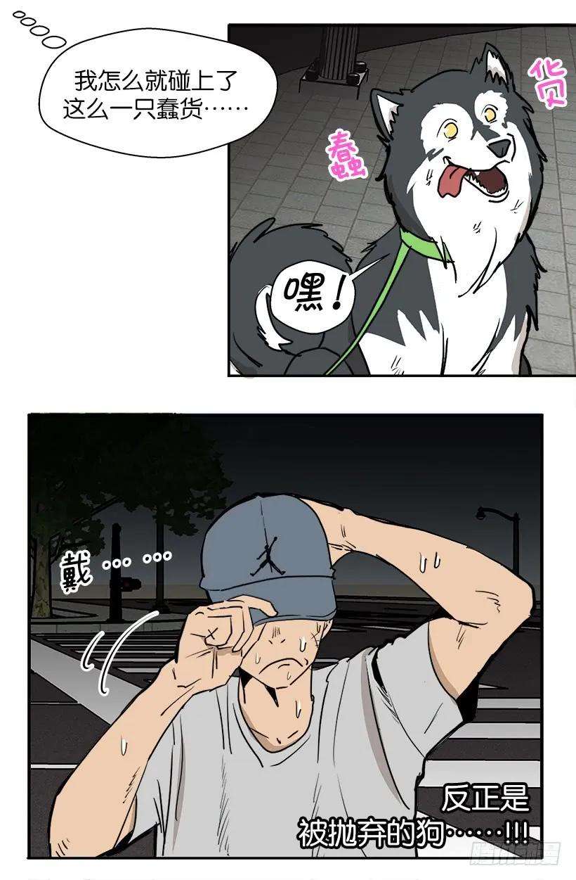12.jpg